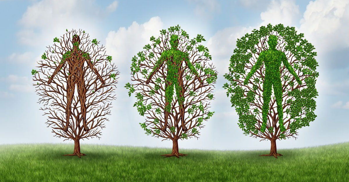 functional-medicine-logan-square