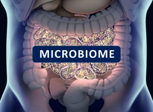 functional-medicine-for-weight-loss