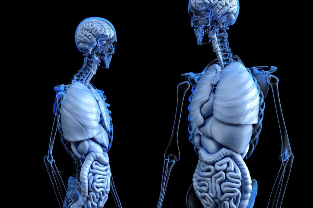 adrenal fatigue medication