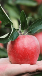 woodridge-functional-medicine-specialist