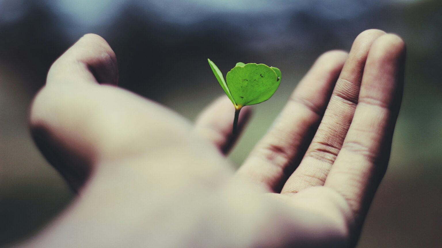 Lombard-functional-medicine-doctor