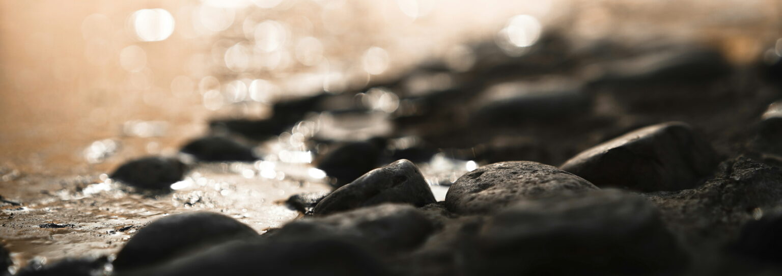 solutions-for-oxidative-stress