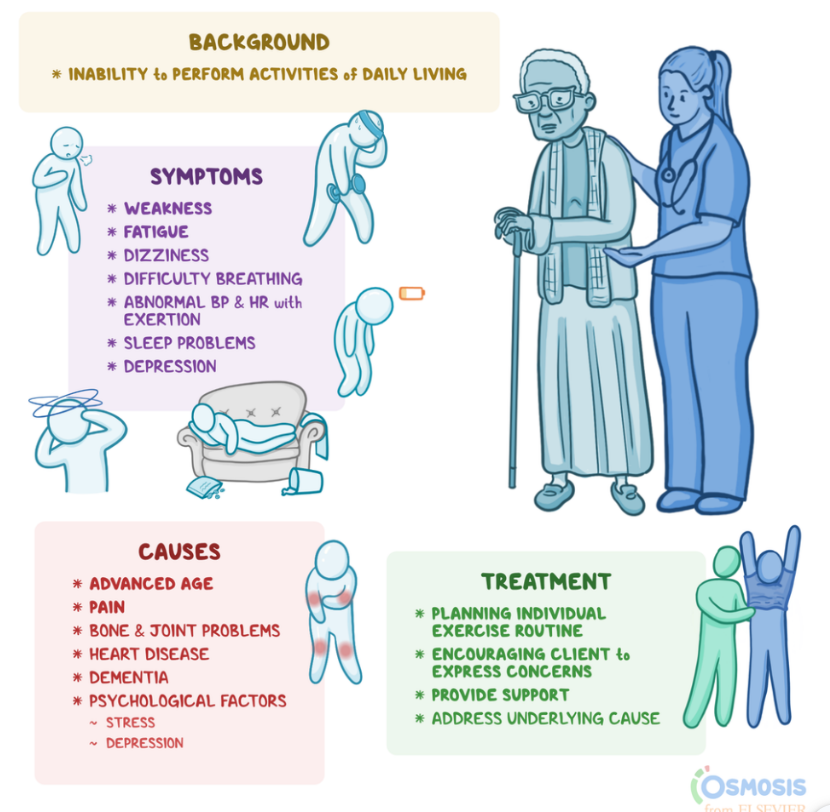 vascular-health-naperville