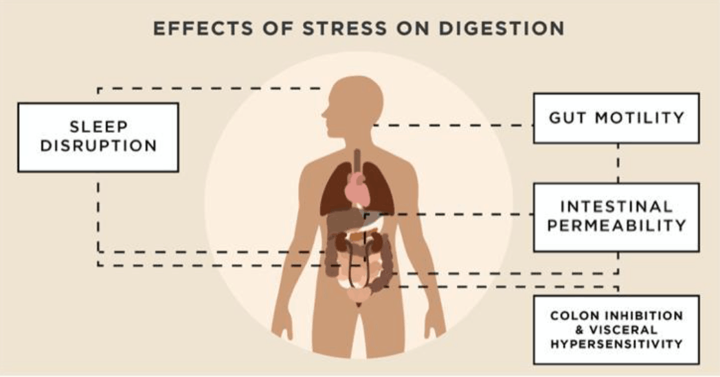 chronic-nausea-treatments