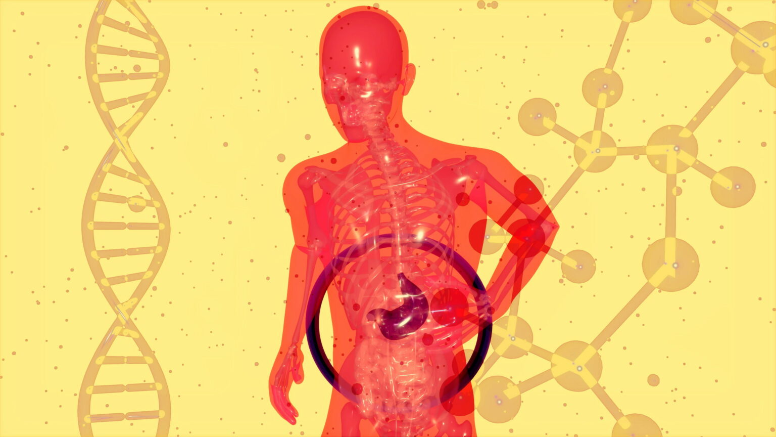 high-bilirubin-meaning
