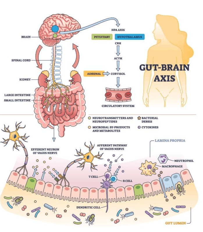 natural-chronic-nausea-treatment