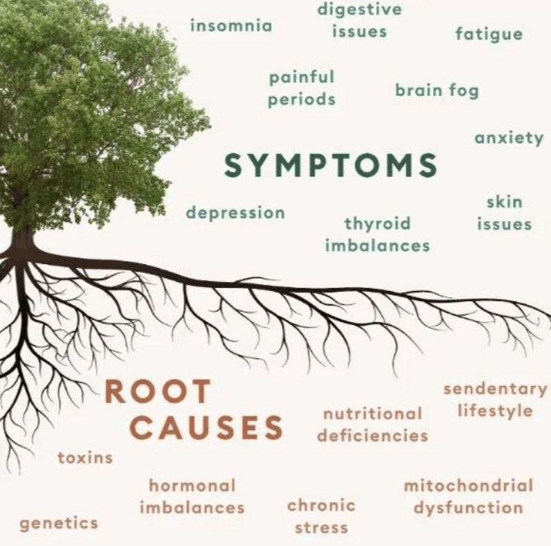 chronic-nausea-solutions