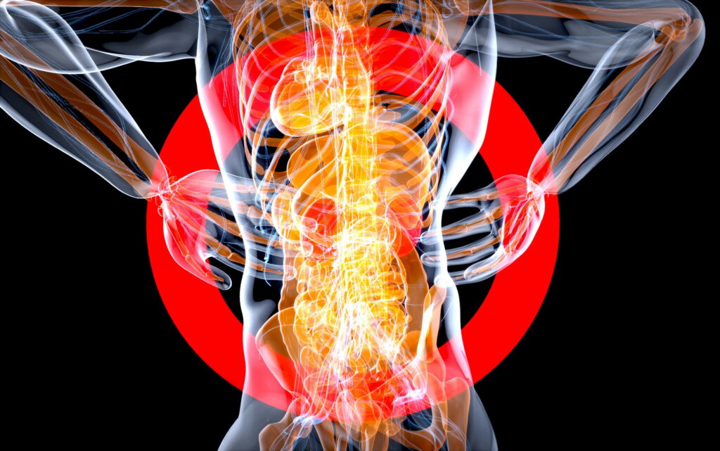 Immune-System-Dysregulation-specialist-naperville